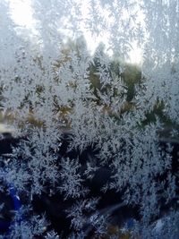 cold temperature