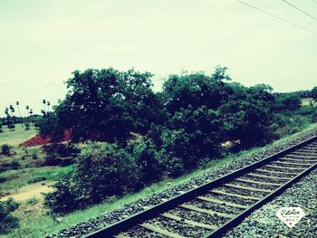 Railroad tracks amidst trees against sky