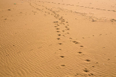 High angle view of footprints on sand at beach