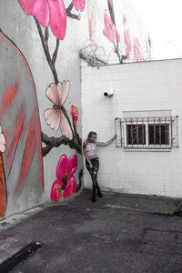 Pink flowers growing in front of wall