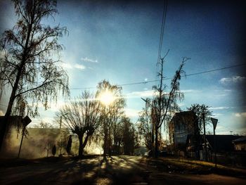 Road passing through bare trees at sunset