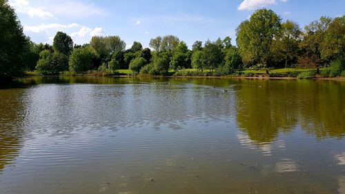 Scenic view of lake by trees against sky