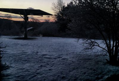 Bare trees on snow covered landscape
