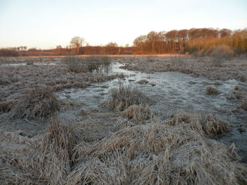 Scenic view of landscape against clear sky
