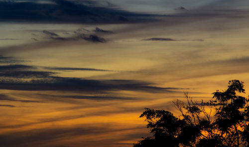 Low angle view of silhouette trees against dramatic sky