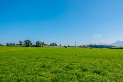 Scenic view of field against blue sky