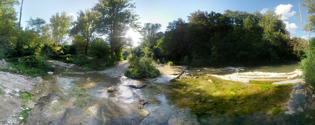 water, tree, tranquility, tranquil scene, scenics, beauty in nature, nature, sunlight, growth, sky, stream, clear sky, idyllic, non-urban scene, river, day, plant, forest, grass, outdoors