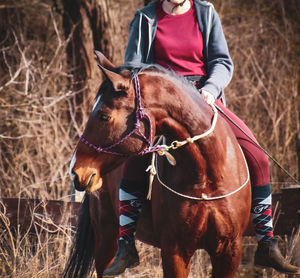 Man riding horse on field