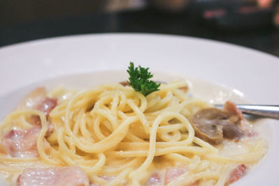 Close-up of noodles served in plate