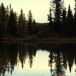 Reflection of trees in lake against sky