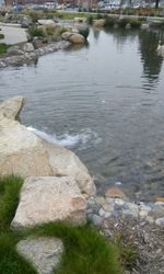 Rocks in water