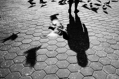 High angle view of shadow on street in city