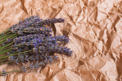 Bouquet of fragrant fresh lavender flowers on brown craft paper background