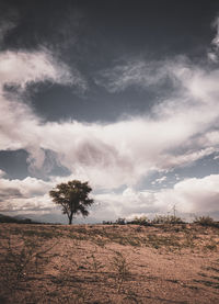 Scenic view of land against sky