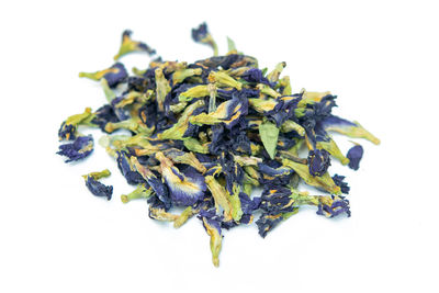 High angle view of purple flowers against white background