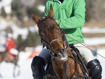 Snow polo details pictures from a match