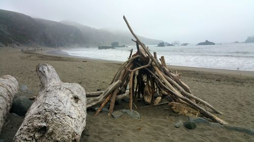 Driftwood teepee on beach against foggy moody sky
