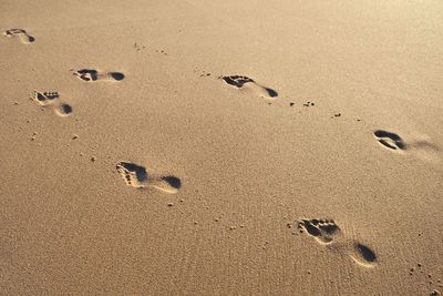 High angle view of footprints at sandy beach on sunny day