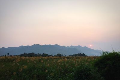 Scenic view of field against sky during sunset