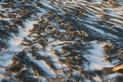 High angle view of snow sea