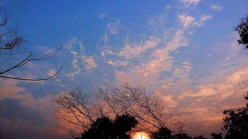 Low angle view of silhouette trees against sky at sunset