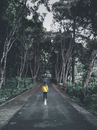 Rear view of woman walking on road amidst trees