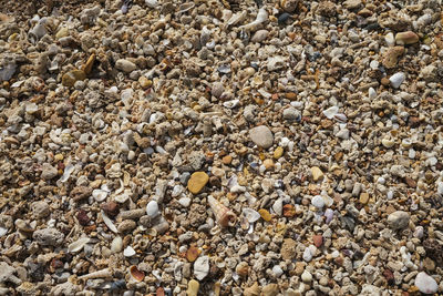 High angle view of stones on beach