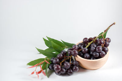 Close-up of fruits and leaves against white background