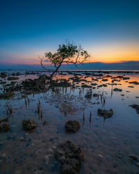 Scenic view of lake against sky during sunset