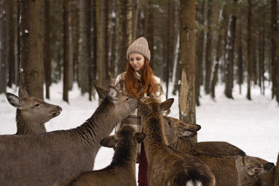 Deer with redhead woman at winter forest