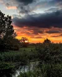 Scenic view of landscape against cloudy sky