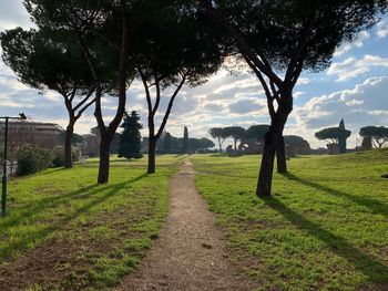 Trees on field against sky