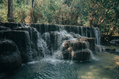 View of waterfall in forest