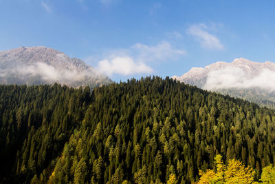 Panoramic view of landscape against sky