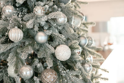 Close-up of christmas tree