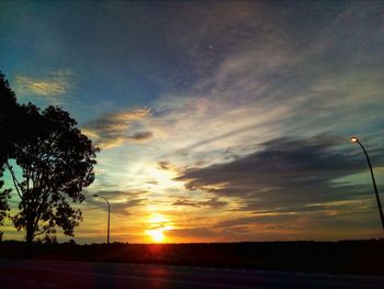 Silhouette of trees at sunset