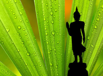 Silhouette buddha statue with drop of rain on tropical leaf background