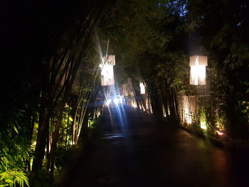 Illuminated trees against sky at night