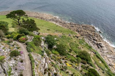 High angle view of trees by sea