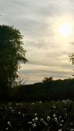 Scenic view of landscape against sky at sunset