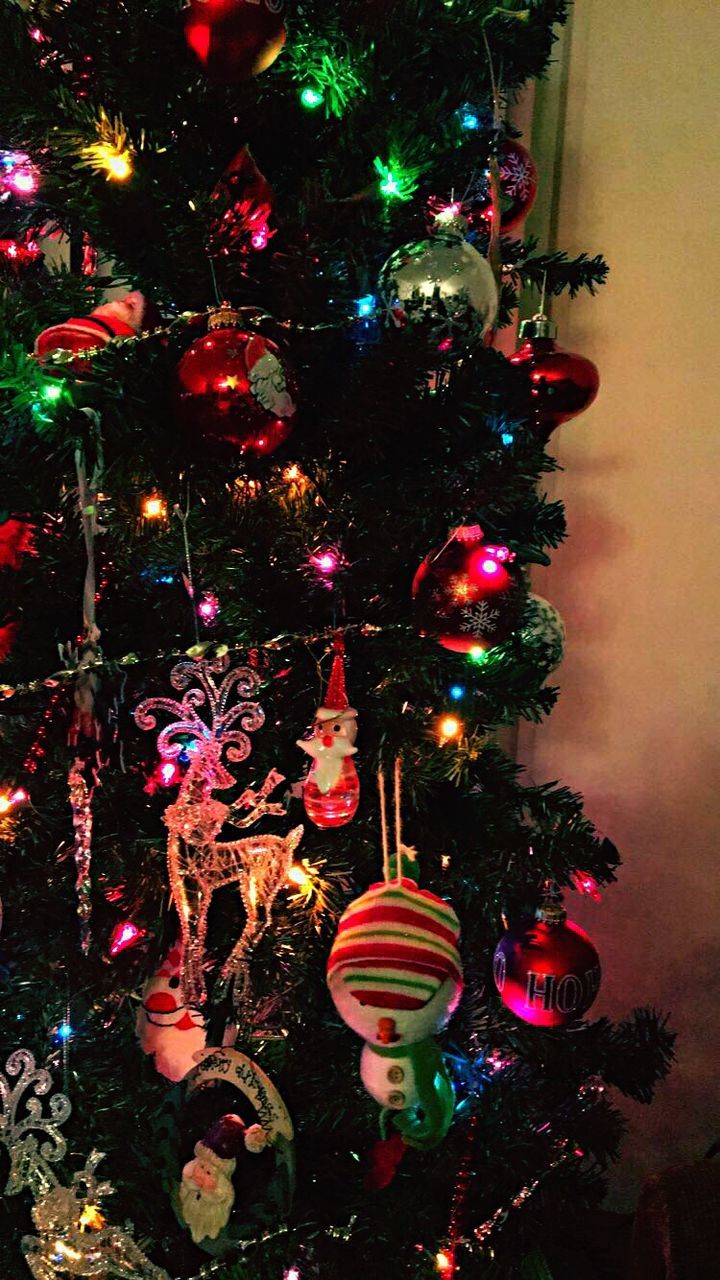 CLOSE-UP OF ILLUMINATED CHRISTMAS TREE