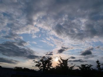 Low angle view of silhouette trees against sky during sunset