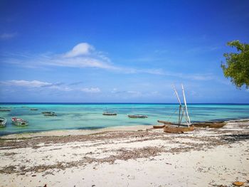 Scenic view of beach against blue sky