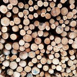 Full frame shot of logs