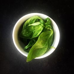 High angle view of green vegetable on table