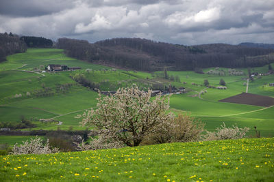 Scenic view of landscape against sky