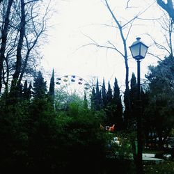 Low angle view of trees against sky