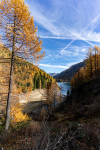 Scenic view of lake against sky during autumn