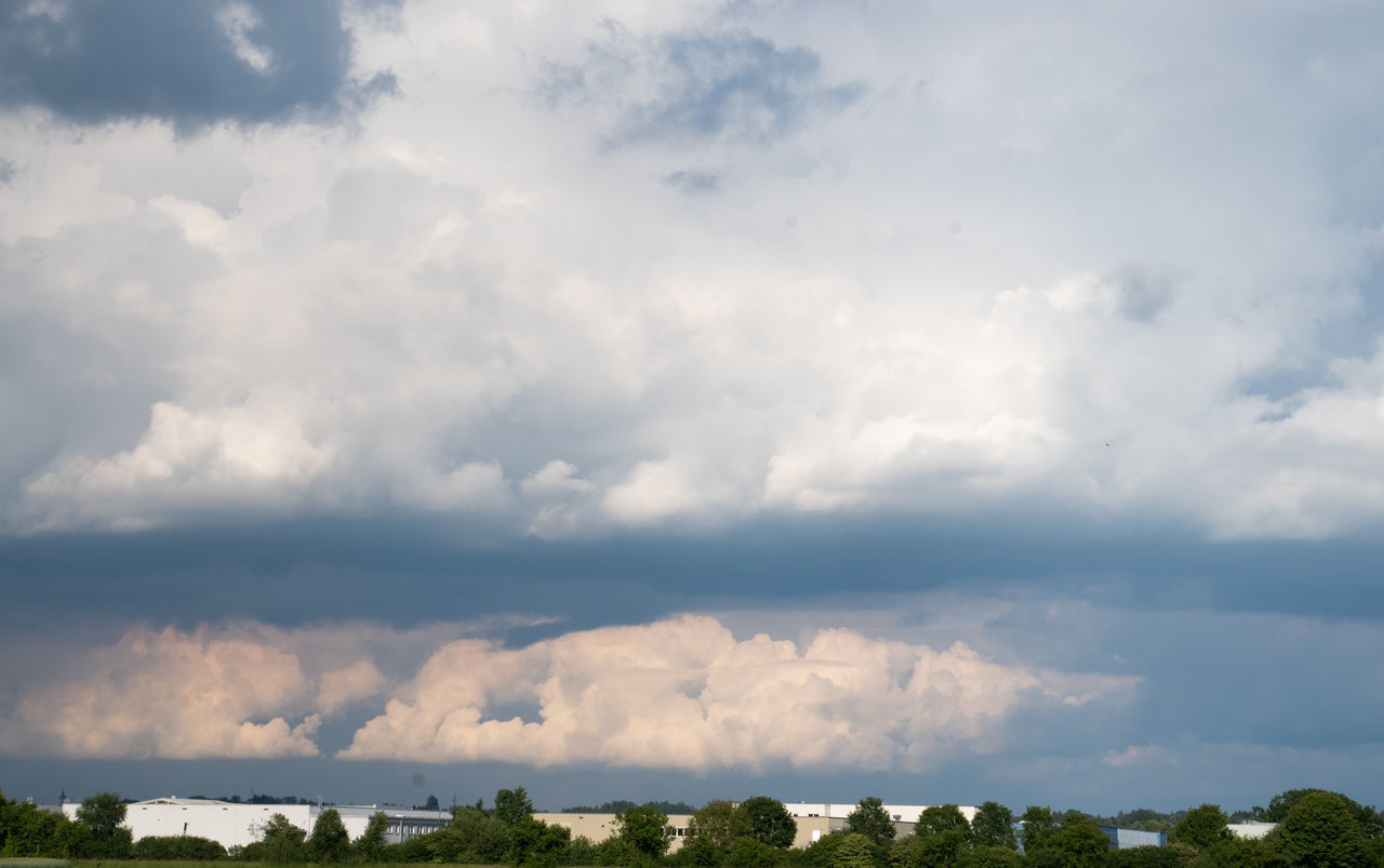 PANORAMIC SHOT OF TREES ON LANDSCAPE AGAINST SKY