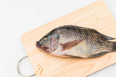 High angle view of fish on cutting board